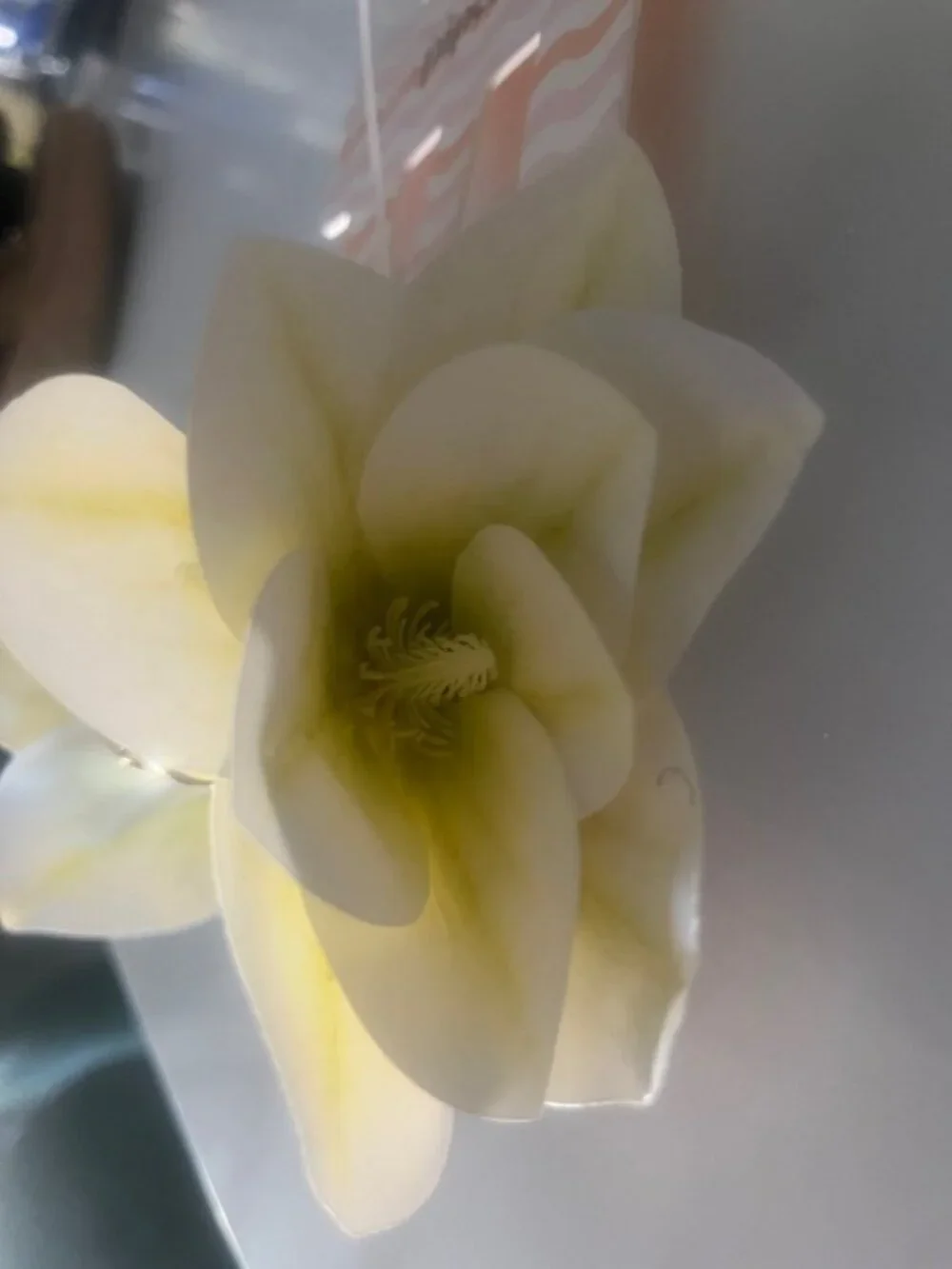 NWT piper-k Gold Clip with Pale Yellow Floral Accent Hair Accessory